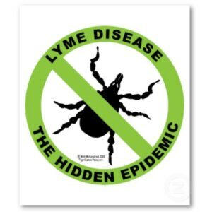 lyme-epidemic