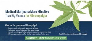 Fibromyalgia and Cannabis Leaf