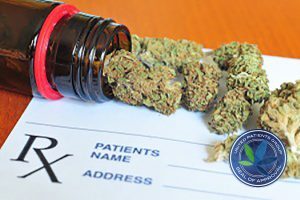 marijuana buds on doctor prescription pad