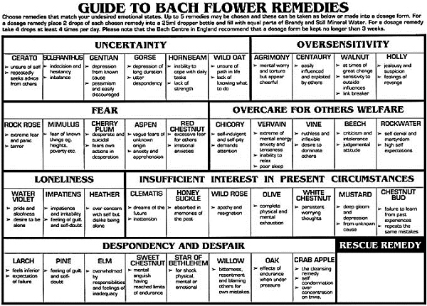 bach-flowers-remedies-that-fight-fear-and-stress-in-high-school-exams