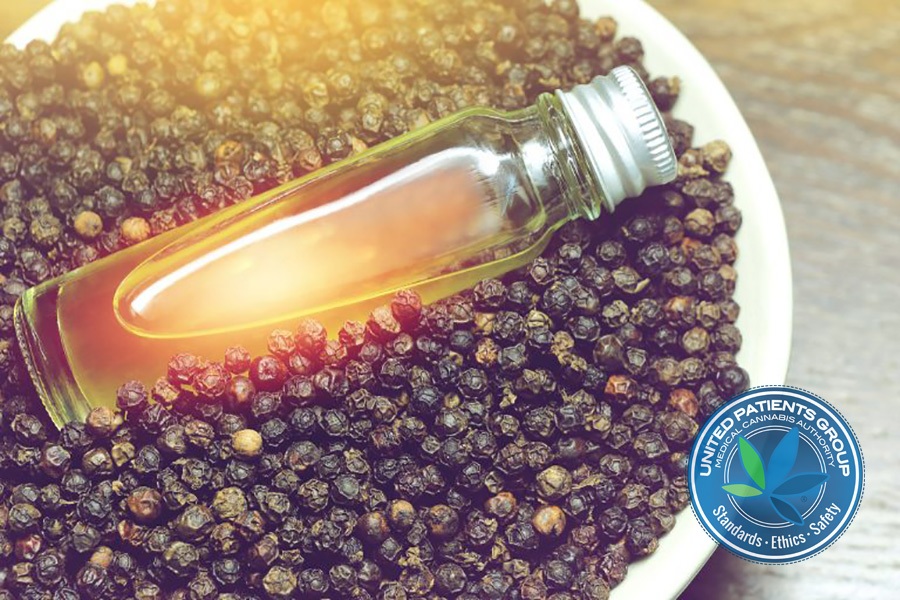 The Natural Benefits of Black Pepper Oil in Fighting Dis-Ease