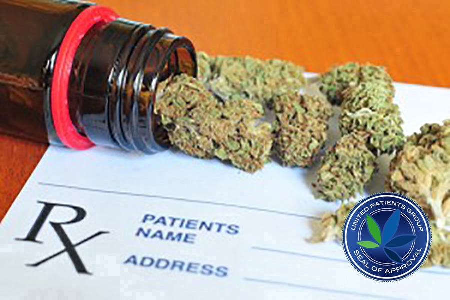 A Brief Guide to Understanding Medical Cannabis