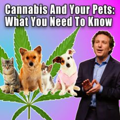 Cannabis And Your Pets: What You Need To Know with Dr. Gary Richter