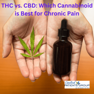 THC vs. CBD: Which Cannabis Strain is Best for Chronic Pain