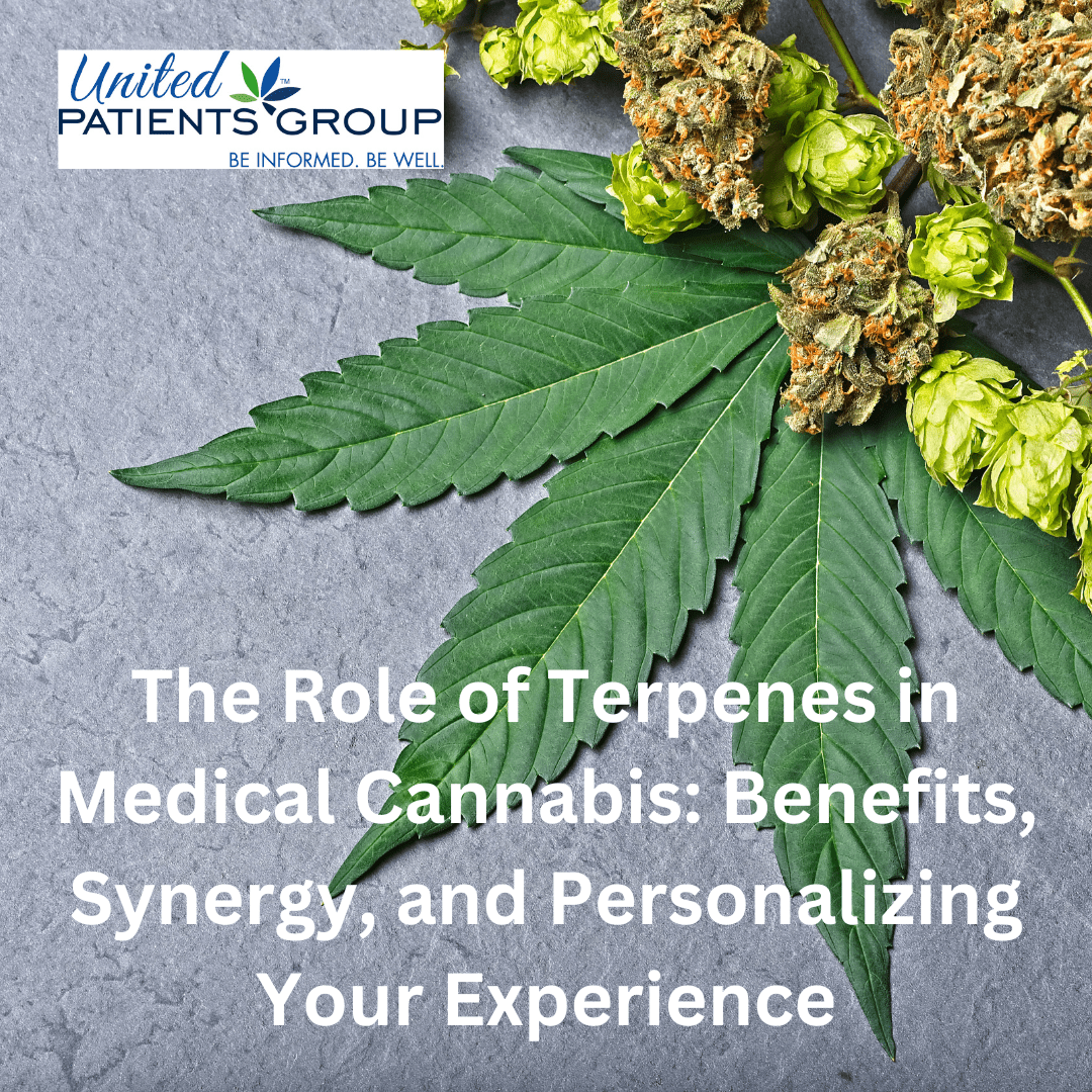 The Role of Terpenes in Medical Cannabis: Benefits, Synergy, and Personalizing Your Experience