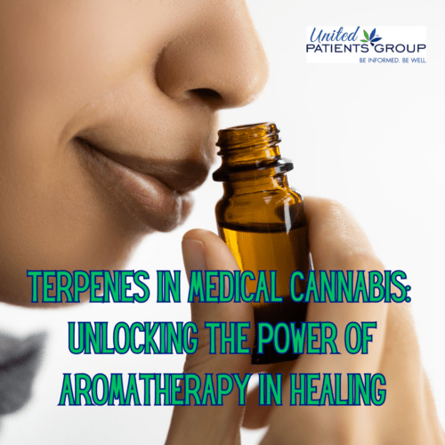 Terpenes in Medical Cannabis: Unlocking the Power of Aromatherapy in Healing