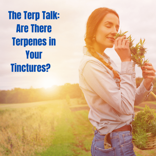 The Terp Talk: Are There Terpenes in Your Tinctures?   