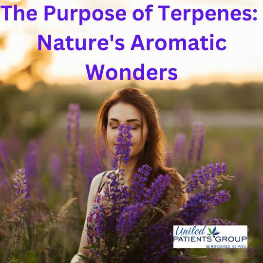The Purpose of Terpenes: Nature’s Aromatic Wonders