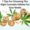 Cannabis Edibles and Pot Brownies